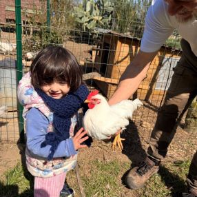 Alessandra, Famiglia a Piombino