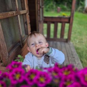 Sabry, Babysitter a Genova