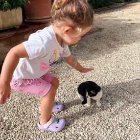 Fabio, Famiglia a Treviolo