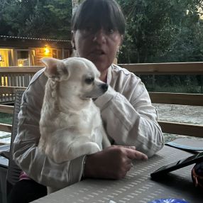 Katia, Babysitter in Gravellona Toce