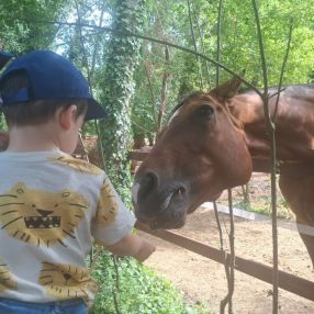 Gioia, Famiglia a Castelnuovo Rangone