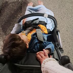 Ale, Family in Campo Ligure