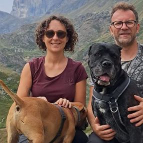 Viola, Famiglia a Provincia di Lucca