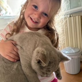 Daniel, Famiglia a Medicina