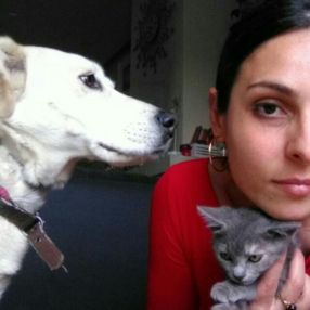 Sasha, Babysitter in Genova