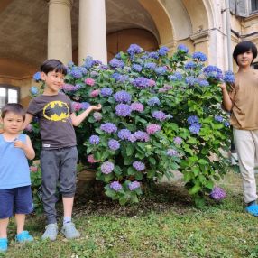 Mori, Family in Como