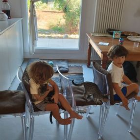 Andrea, Famiglia a Marche
