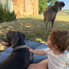 Costanza, Family in Carpi