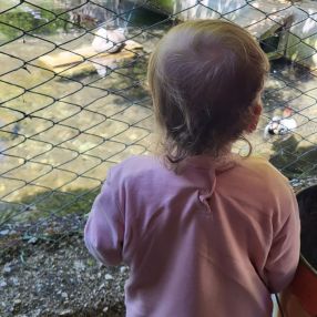 Caterina, Famiglia a Arezzo