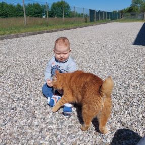 Marco, Famiglia a Padova