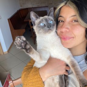 Michelle, Babysitter in Rovereto