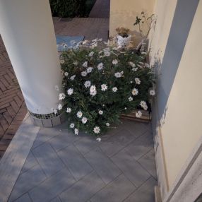 Sharon, Famiglia a Nettuno