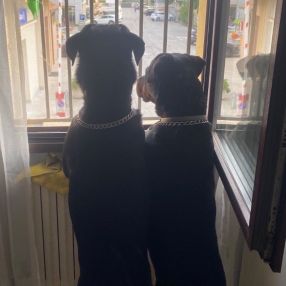 Valentina, Famiglia a Lugo