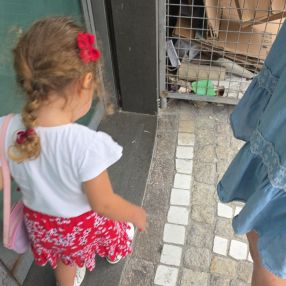 Fabio, Famiglia a Casapulla