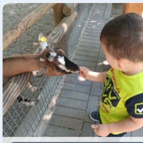 Marino, Famiglia a Udine