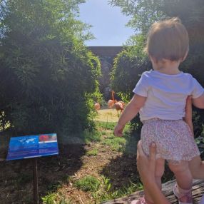 Giulia, Family in Cesano Maderno