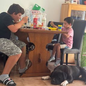 Dany, Famiglia a Marchirolo