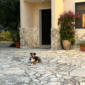 Giulia, Family in Grottaglie