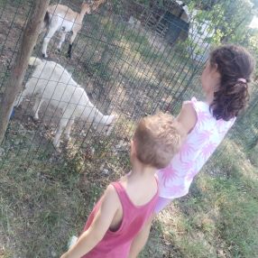 Paola, Family in Castiglione delle Stiviere