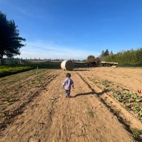 Federica, Famiglia a Gerenzano