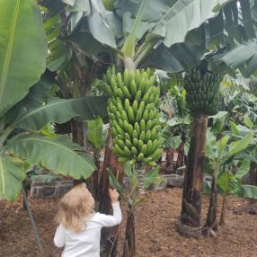 Arianna, Famiglia a Roma