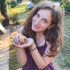 Alessandra, Babysitter a Provincia di Perugia