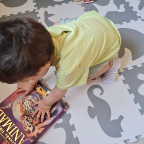 Sara, Famiglia a Bologna
