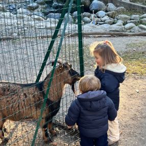 Marco, Famiglia a Donoratico
