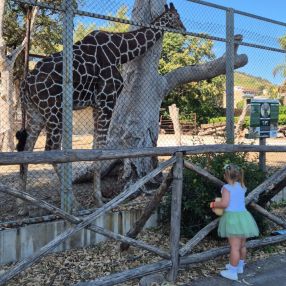 Palma, Famiglia a Castellammare di Stabia
