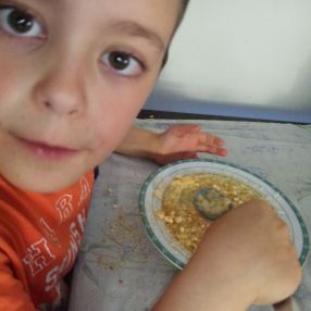 Andrea, Famiglia a Rovereto