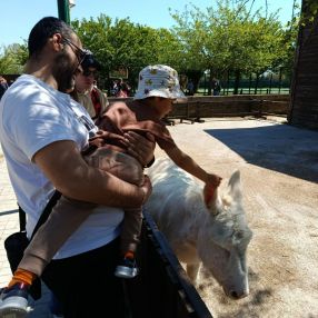 Cosimo, Family in Lastra a Signa