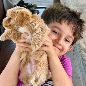 Alessia, Famiglia a Avella