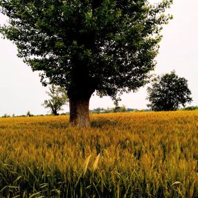 Sara, Family in Santarcangelo di Romagna