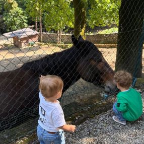 Giorgia, Famiglia a Rimini