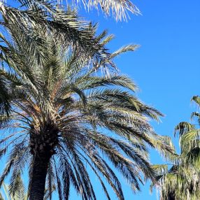 Marilena, Famiglia a Noceto