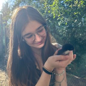 Alicya, Babysitter a Bucine