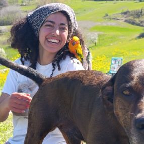 Lorena, Babysitter a Palau