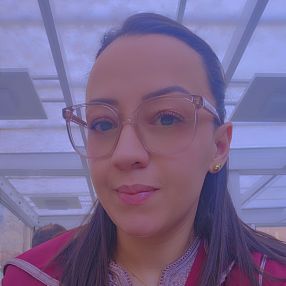 Zineb, Babysitter in Somma lombardo