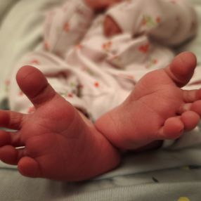 Deborah, Famiglia a Provincia di Modena