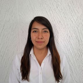 Dianah, Babysitter in Ciudad de México