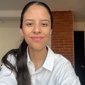 Paula Sabina, Niñera en Heroica Puebla de Zaragoza