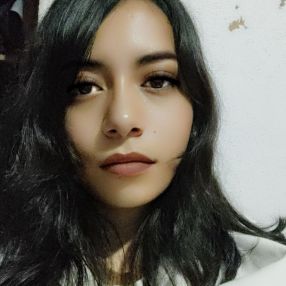 Diana, Babysitter in San Luis Potosí