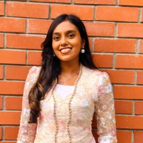 Reetashini Nair, Babysitter in Subang Jaya