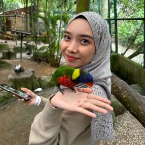 Qiqi, Pengasuh di Rawang