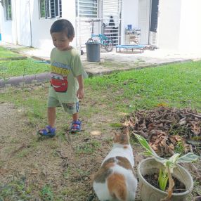 Aini, Family in Senai