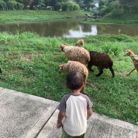 Daria Fatanah, Keluarga di Bandar Baru Bangi
