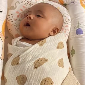 Anis, Keluarga di Rawang