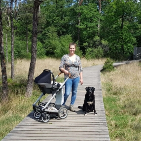 Marisse, Family in Enter