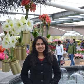 Rashija, Family in Veldhoven