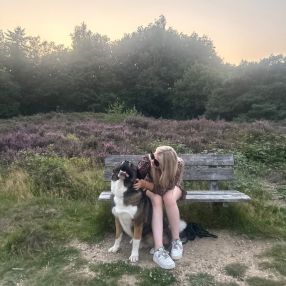 Amalia, Oppas in Tollebeek